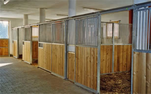 Gro&szlig;e Pferdeboxen auf dem Hallmooshof in Filzmoos