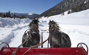 Das ganz besondere Erlebnis für Ihren Winterurlaub in Filzmoos - eine romantische Pferdeschlittenfahrt