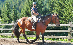 Reitferien im Hallmooshof Filzmoos für Kinder und Erwachsene